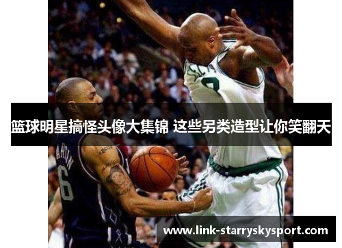 篮球明星搞怪头像大集锦 这些另类造型让你笑翻天