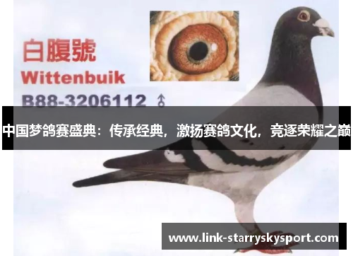 中国梦鸽赛盛典:传承经典,激扬赛鸽文化,竞逐荣耀之巅