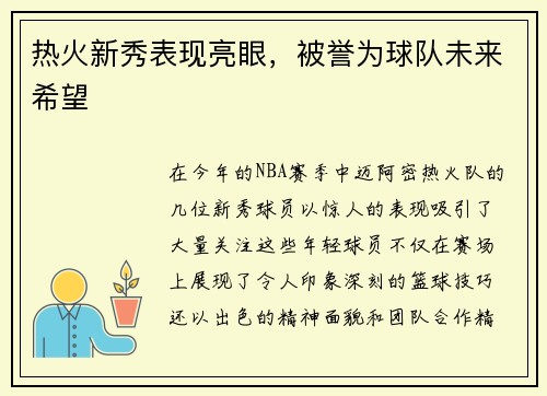热火新秀表现亮眼，被誉为球队未来希望